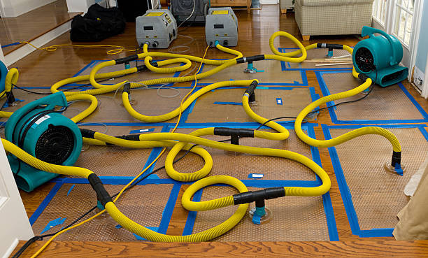 Professional Basement Flood Cleanup technician working in Dexter, ME